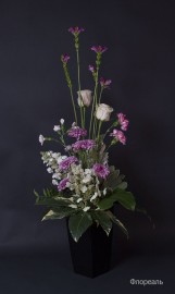 IMG0878-1