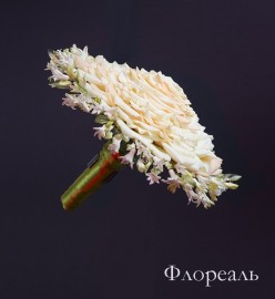 IMG8815-2