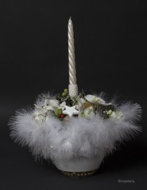 IMG1242-1