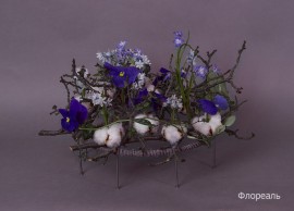 IMG0137-1