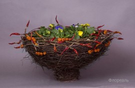 IMG0146-1