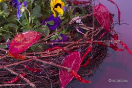 IMG0151-1