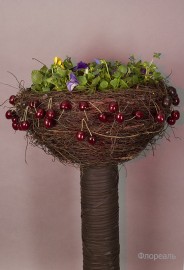 IMG0157-1